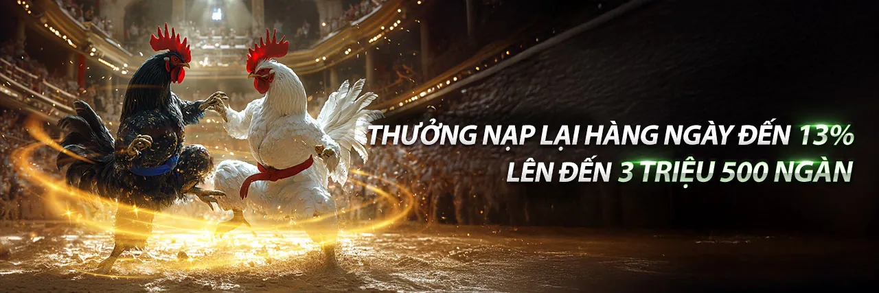 Đá Gà Trực Tuyến Sống Động tại 23win06 com